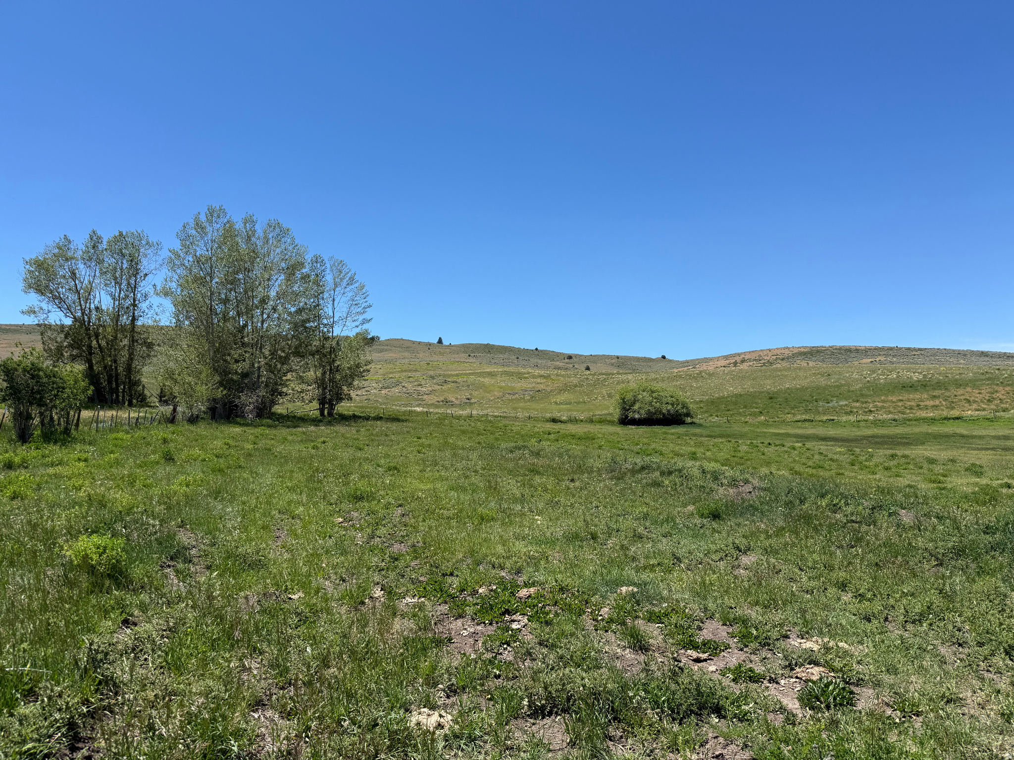 3 W BLOOMINGTON, Bloomington, ID 83223 — photo 1