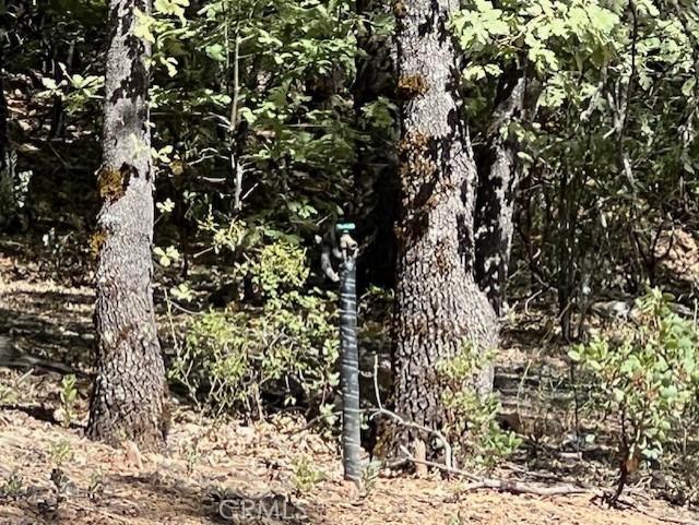 9208 Diamond Dust, Kelseyville, CA 95451 — photo 1
