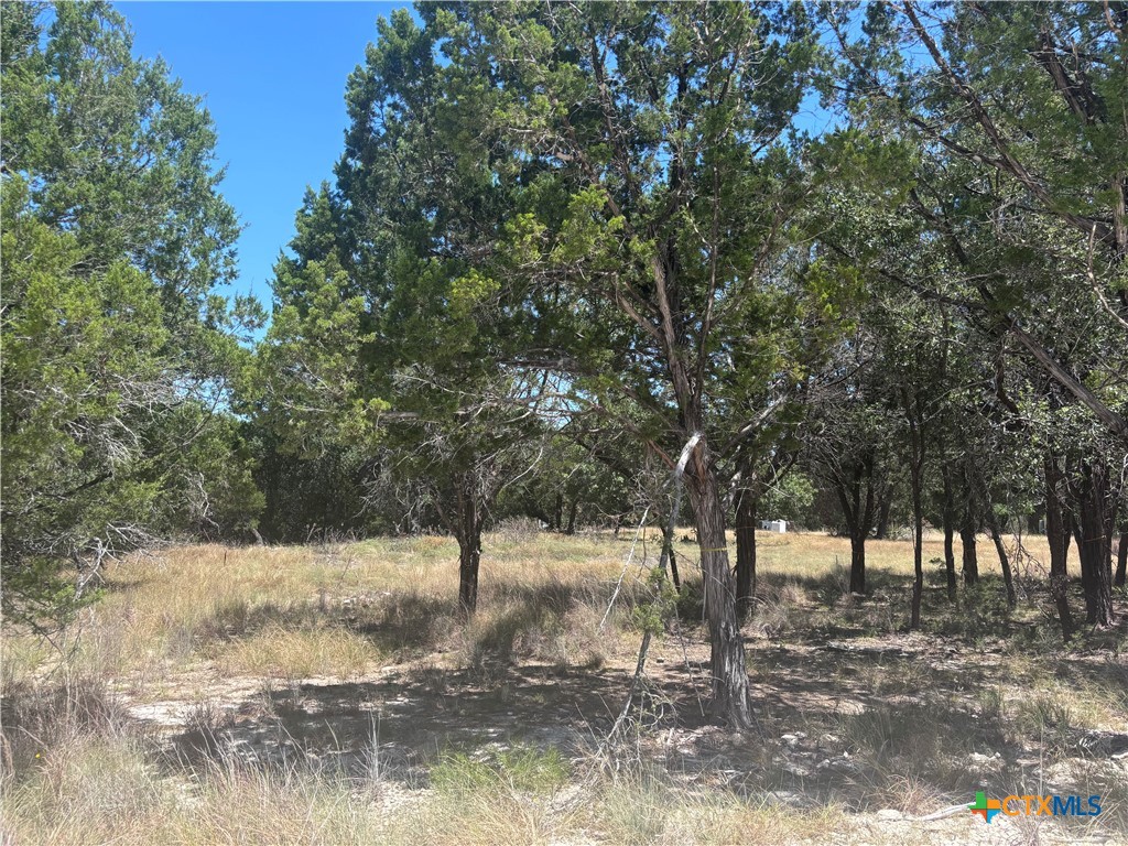 219 County Road 4360, Lampasas, TX 76550 — photo 1
