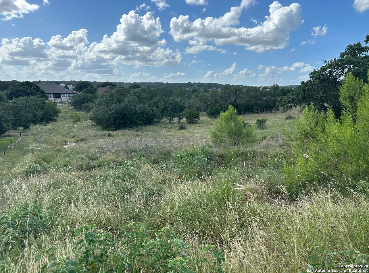 1728 CHARDONNAY, New Braunfels, TX 78132 — photo 1