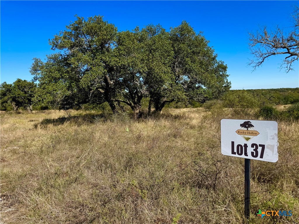Lot 37 Buck Run Rd., San Saba, TX 76877 — photo 1