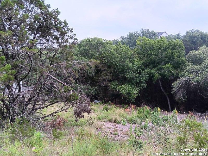 421 LEXINGTON PASS, Canyon Lake, TX 78133 — photo 1