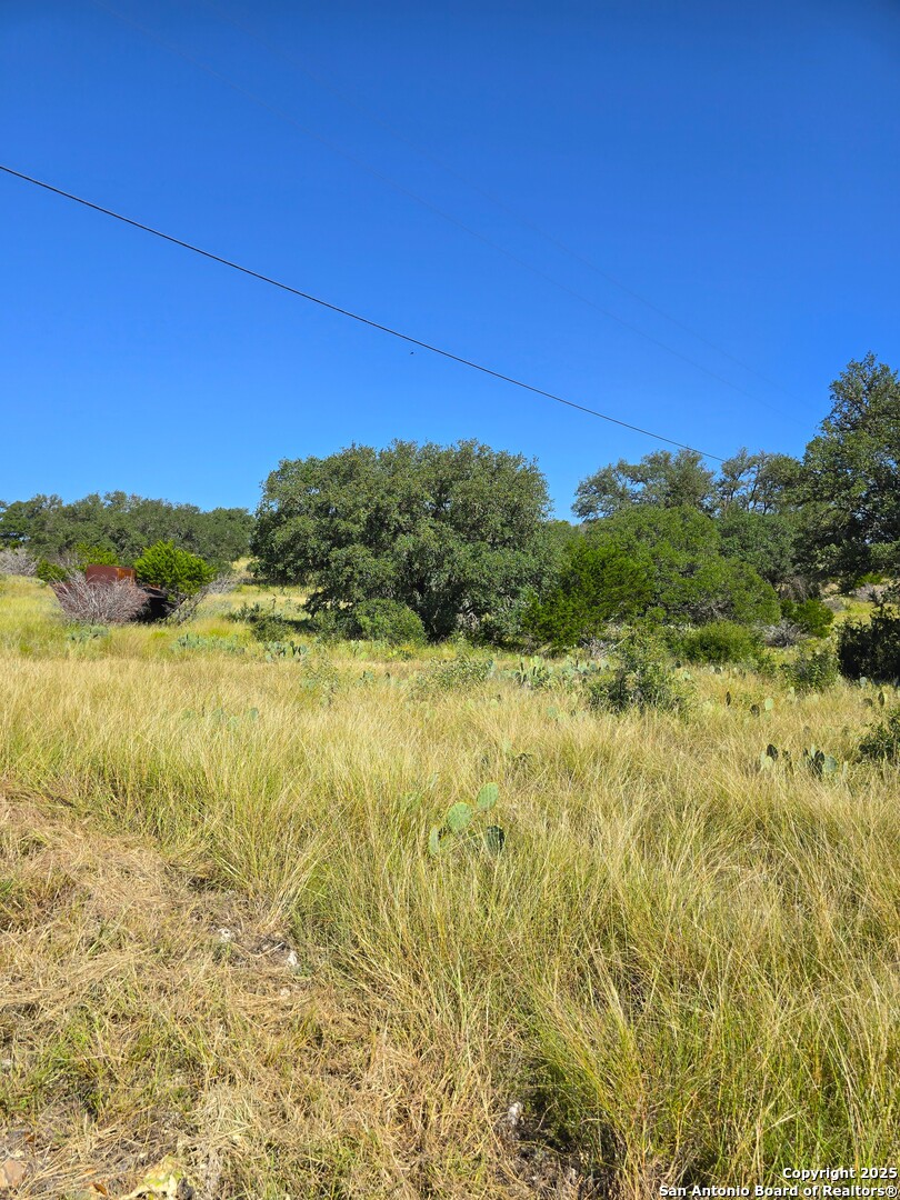 227 Mitchell Ranch Road, ,  78833 — photo 1