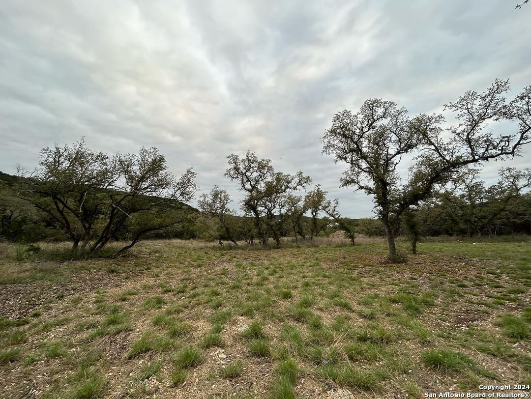 863 Private Road 1742, Mico, TX 78056 — photo 1