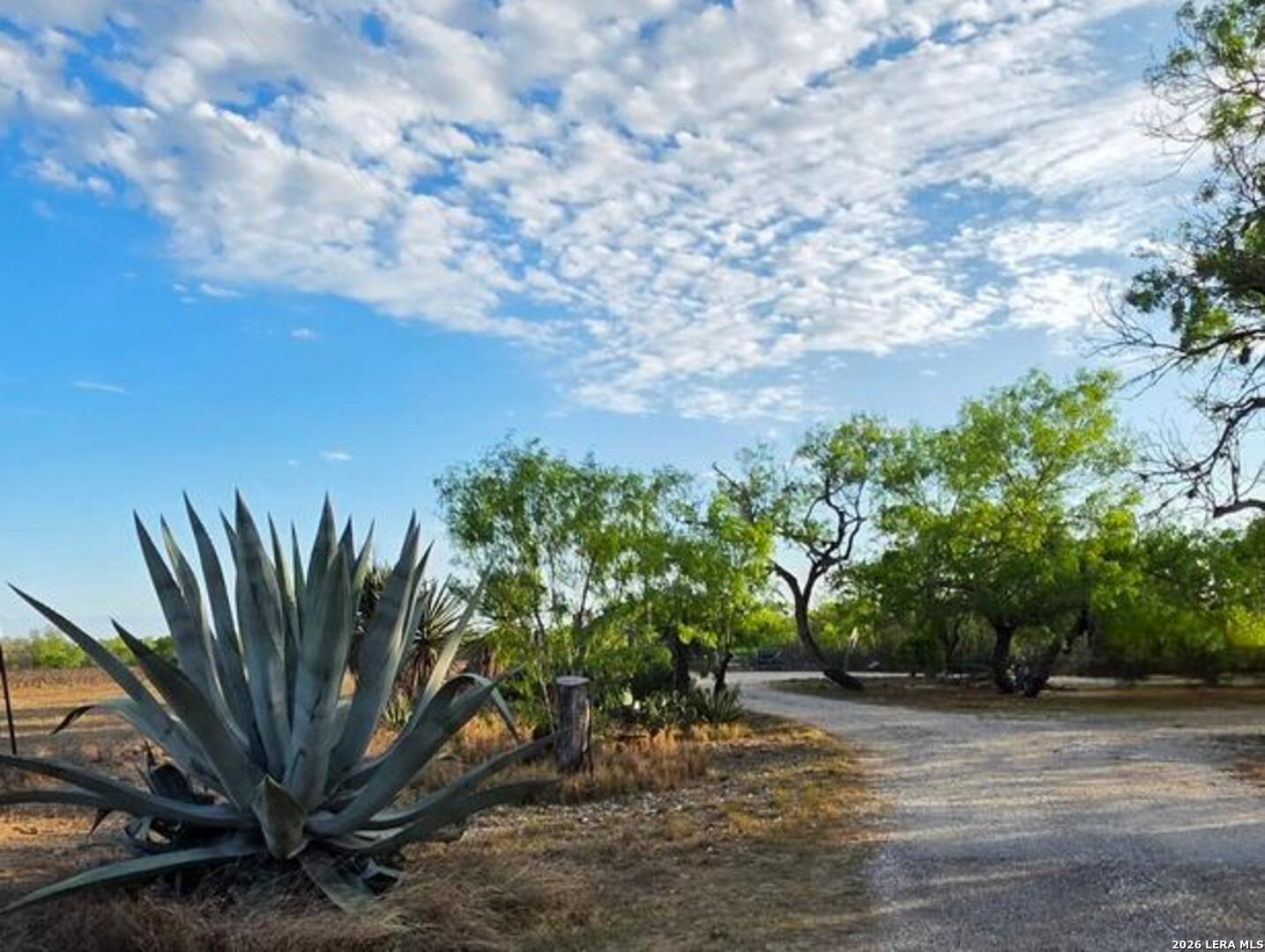 4029 County Road 117, Floresville, TX 78114 — photo 1