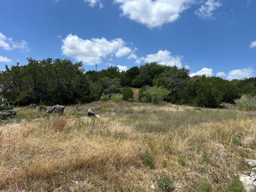 21408 Noack, Spicewood, TX 78669 — photo 1