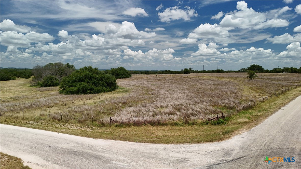 266 Miller Creek Bluff, Briggs, TX 78608 — photo 1