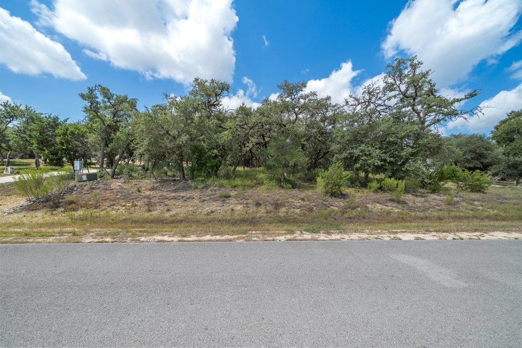 1345 MERLOT, New Braunfels, TX 78132 — photo 1