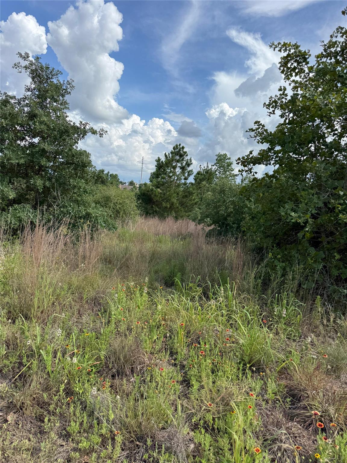 Lots 89-90 Pintail, Bastrop, TX 78602 — photo 1