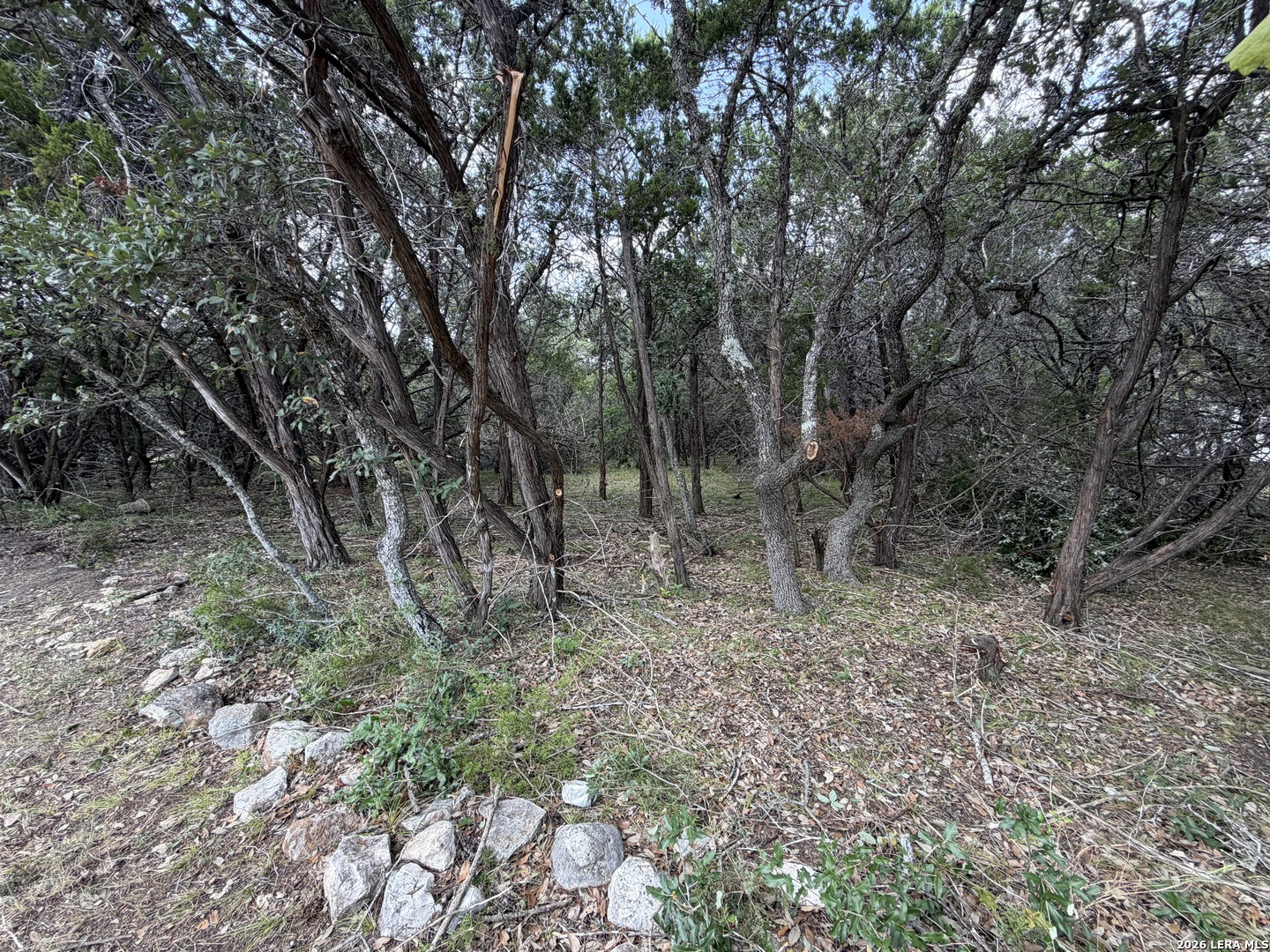 180 Rosenberry, Bulverde, TX 78163 — photo 1