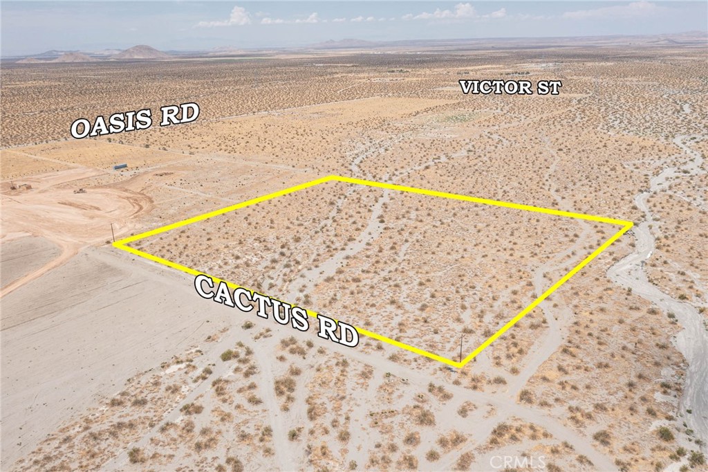31001215 Cactus Road, Pinon Hills, CA 92372 — photo 1