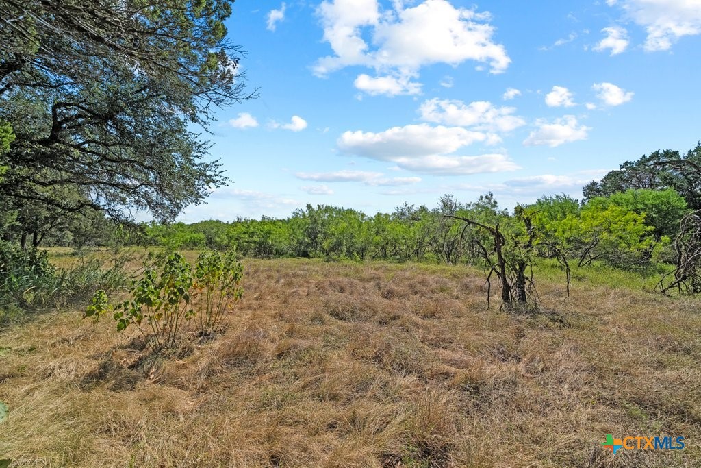 831 Ayers Rock, New Braunfels, TX 78132 — photo 1