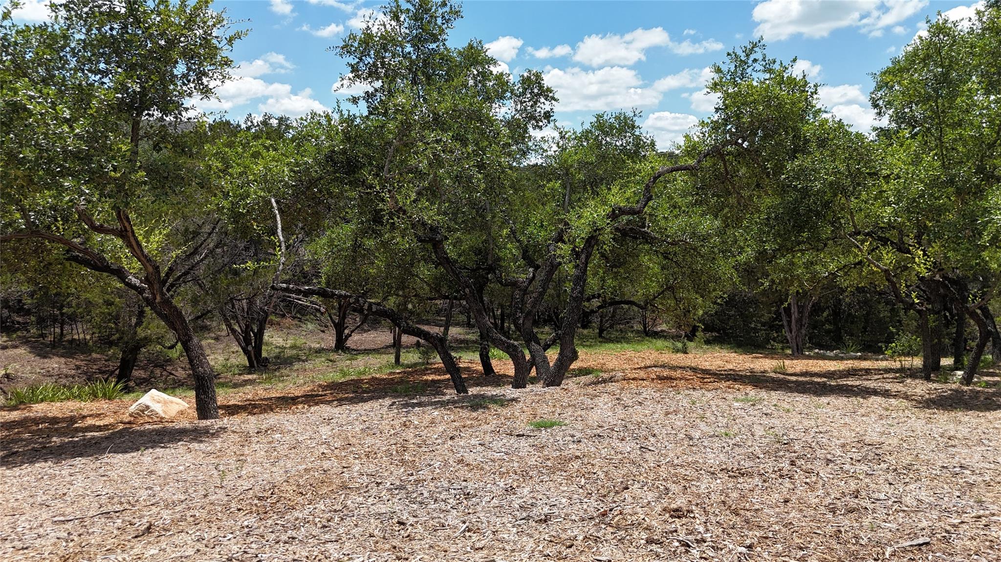 1106 Larkhall, Spicewood, TX 78669 — photo 1