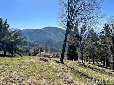41 Fredalba Road, Running Springs, CA 92382 — photo 1
