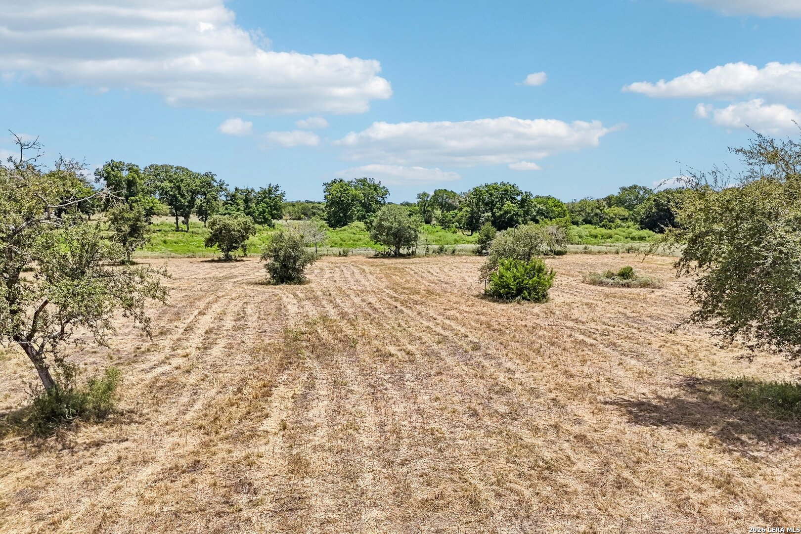 TBD Elm Creek, , 78155 — photo 1