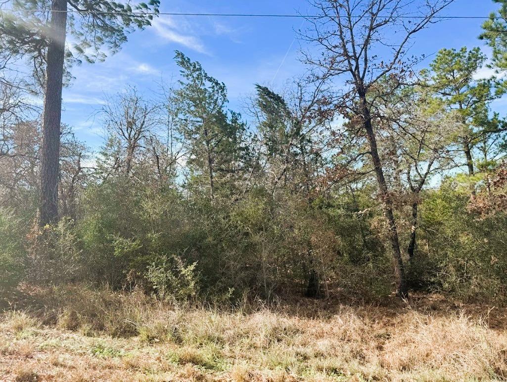 106 Olomana, Bastrop, TX 78602 — photo 1