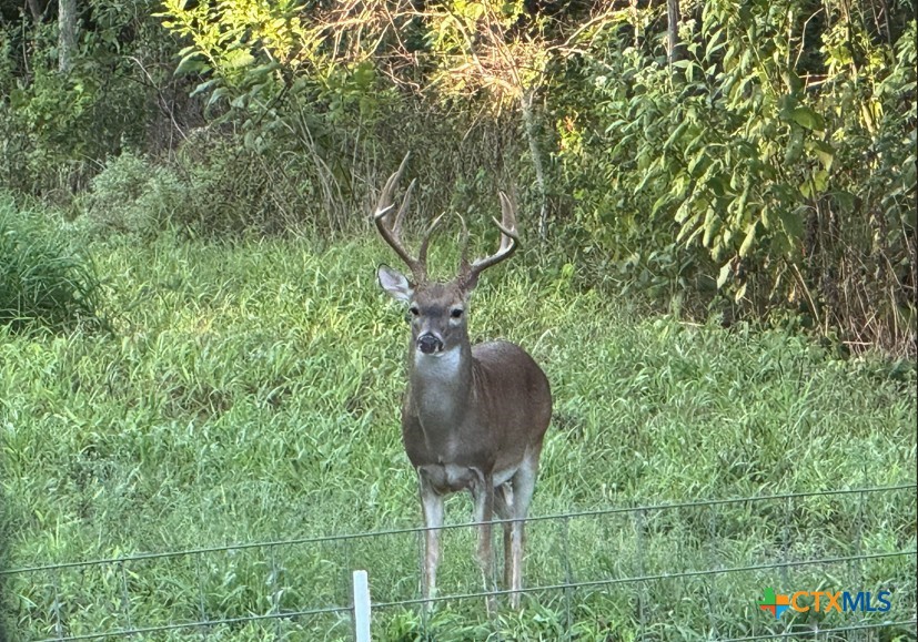 8064 San Antonio River, Victoria, TX 77905 — photo 1