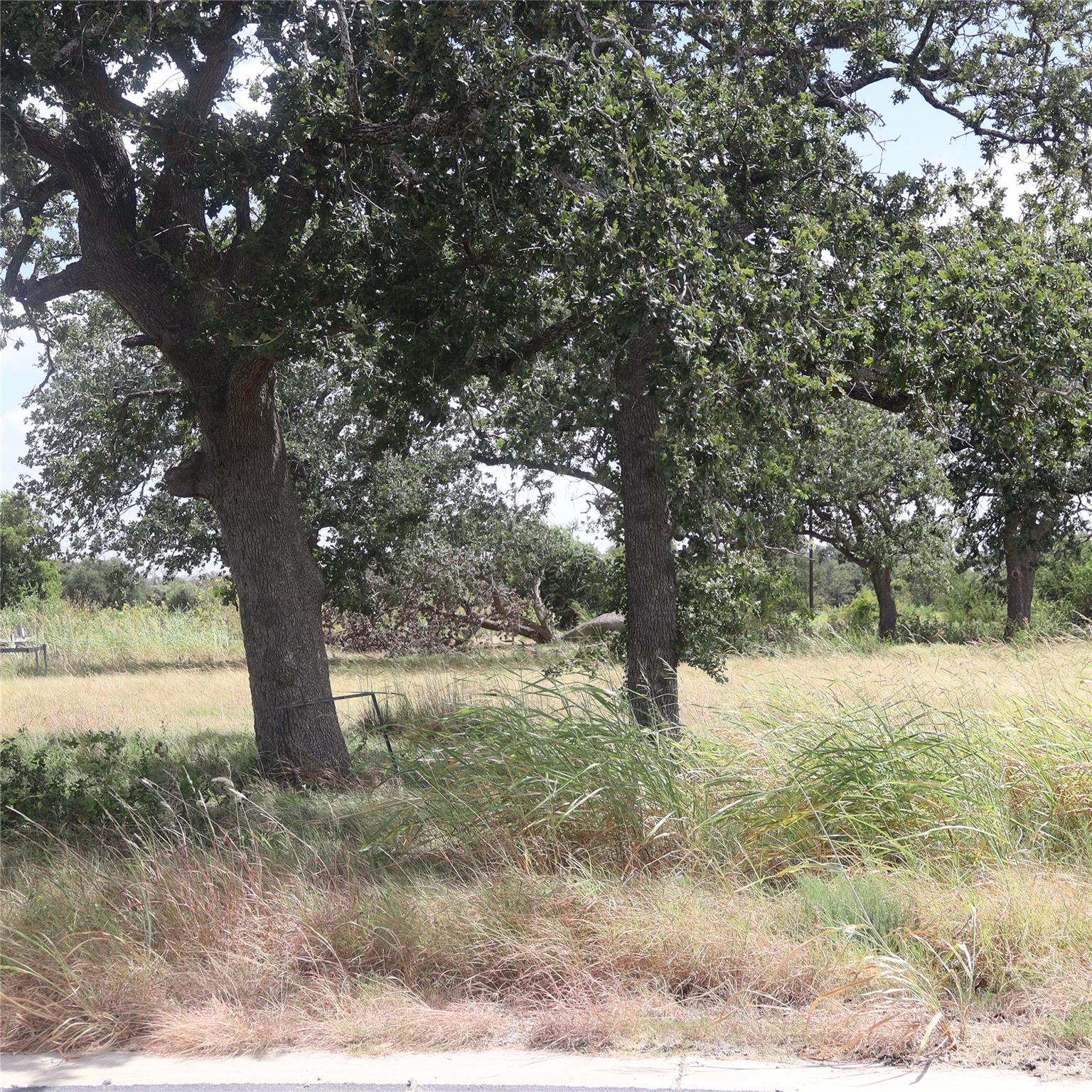 112 Mesones, Florence, TX 76527 — photo 1