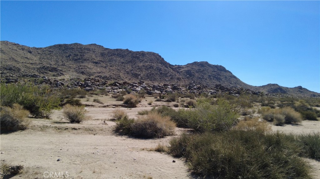 0 Campanula Street, Joshua Tree, CA 92252 — photo 1