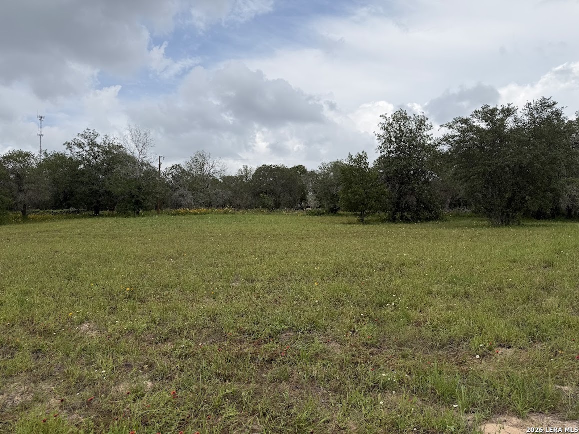 2225 Silver Mountain Drive, ,  78264 — photo 1