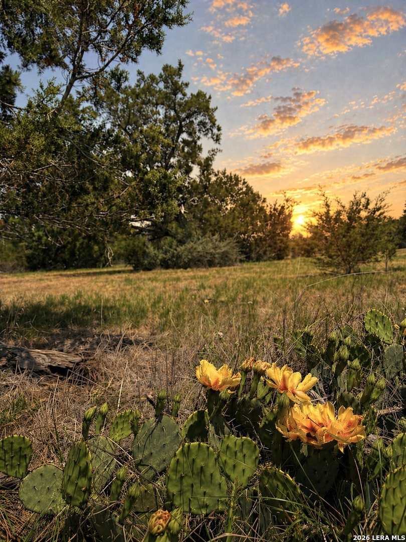 174 Waterman Ln, Pipe Creek, TX 78063 — photo 1