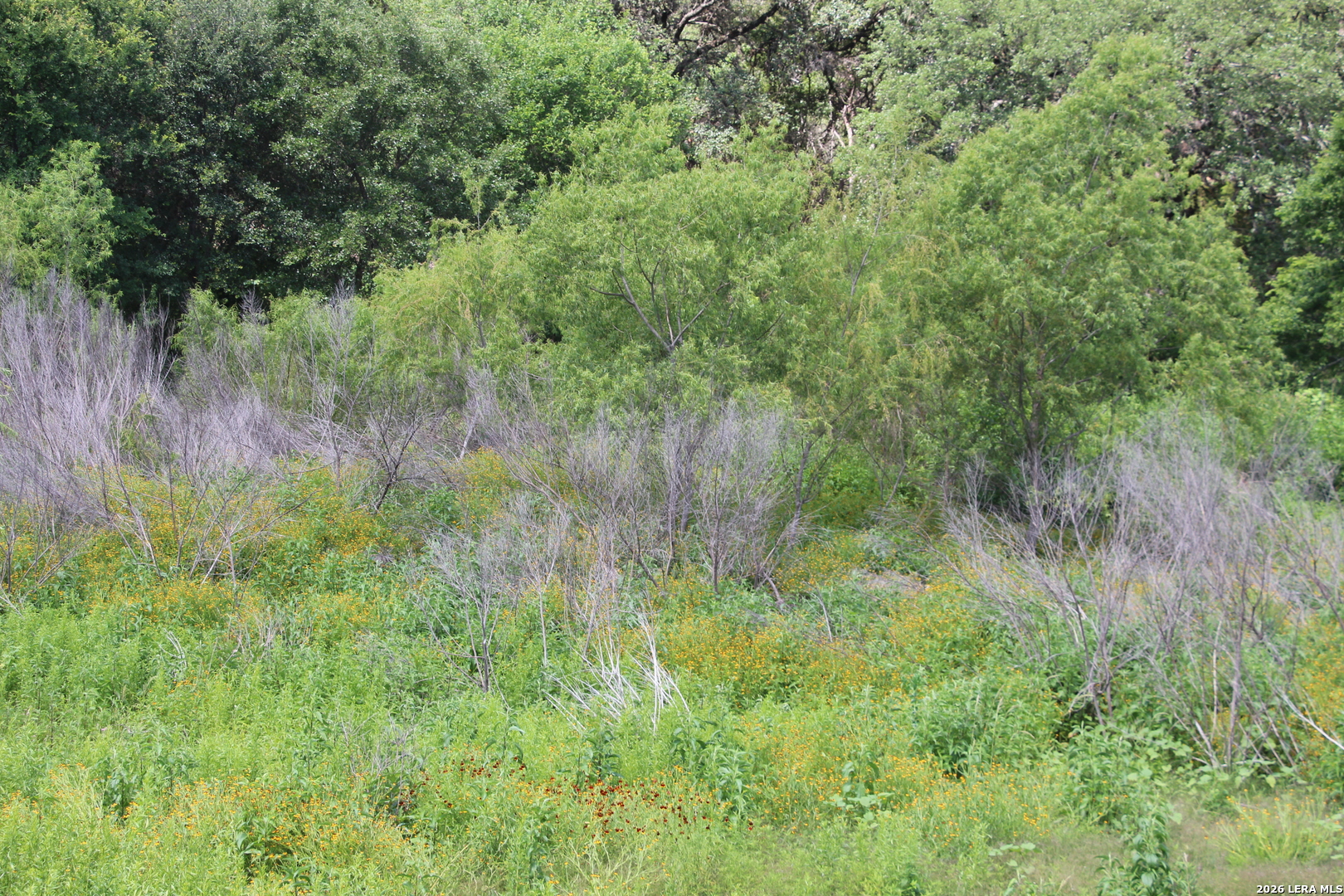 LOT 52 Clear Water Cyn, , 78023 — photo 1