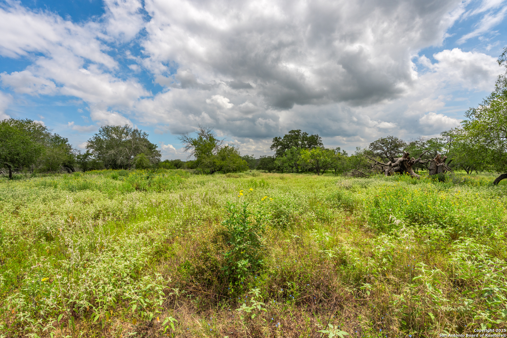 330 S Encino Crossing, Natalia, TX 78059 — photo 1