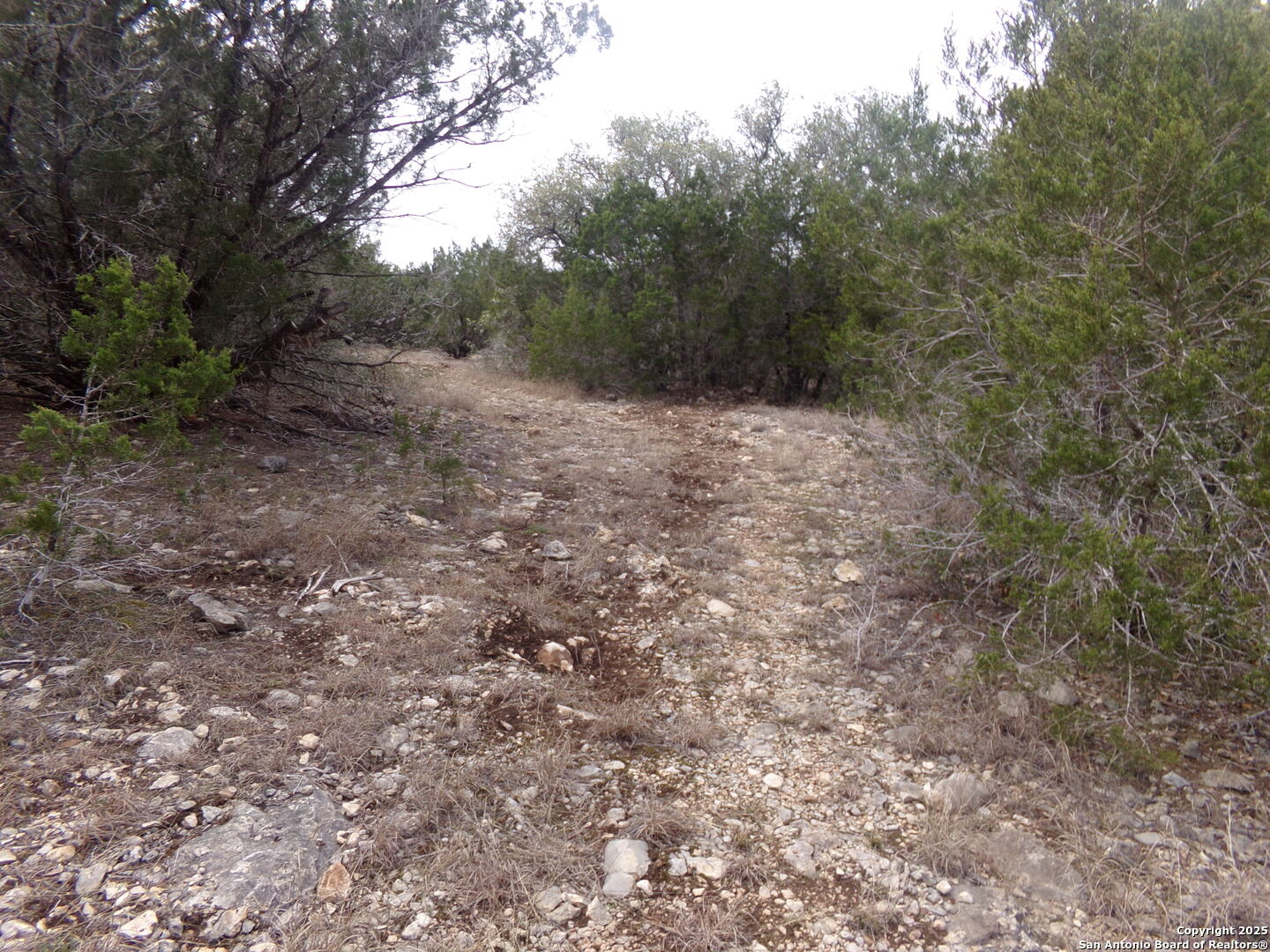 5 Pvt rd 2560, ,  78838 — photo 1
