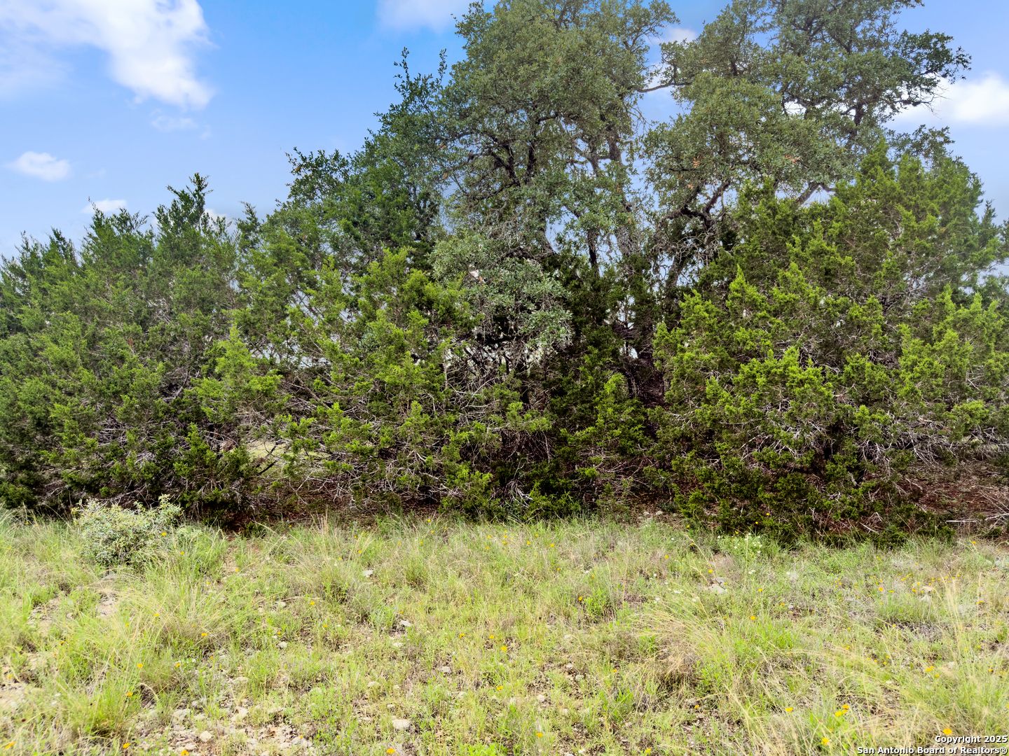 141 Vista View Place, Spring Branch, TX 78070 — photo 1