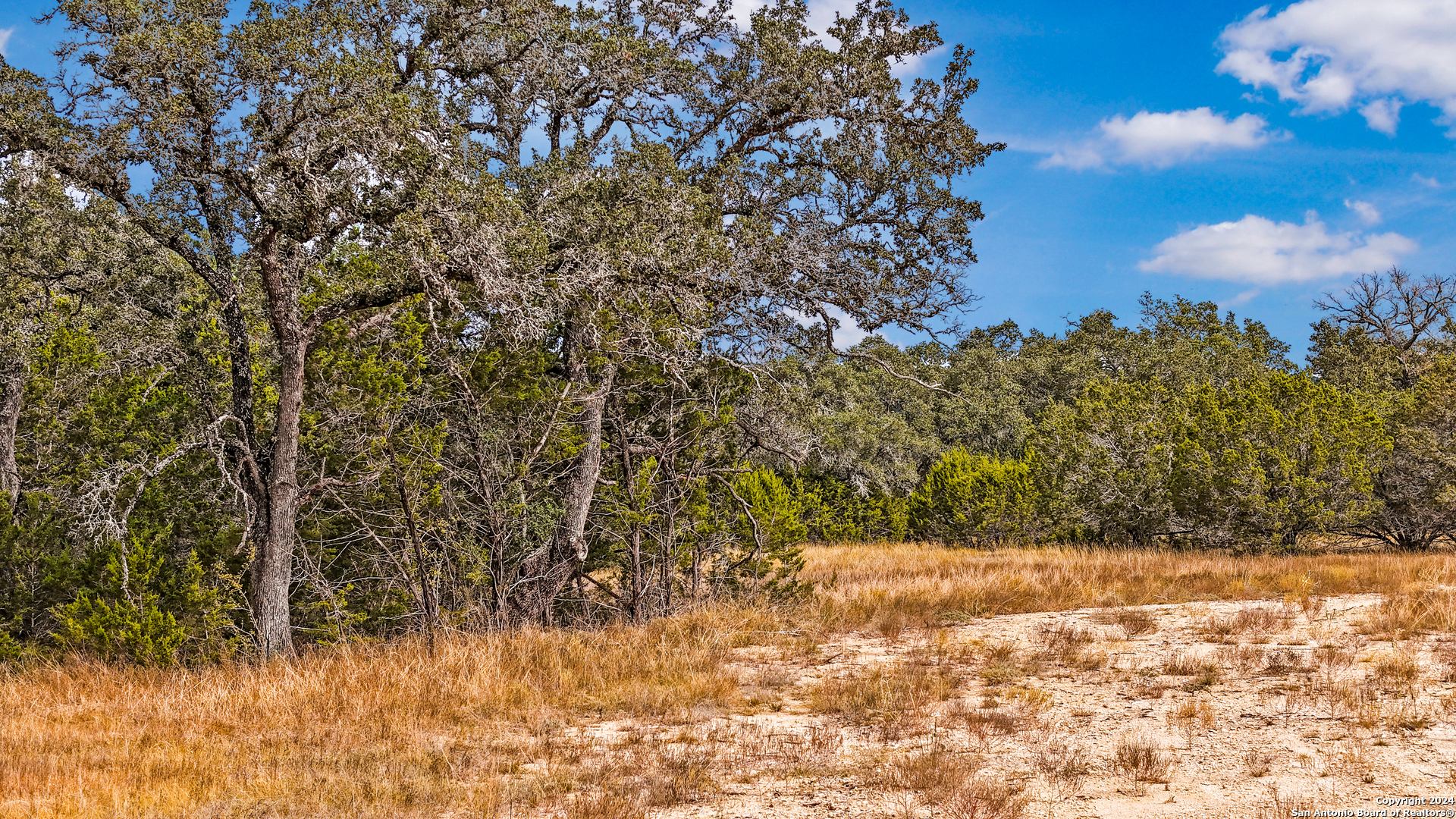 1949 PARADISE PKWY, Canyon Lake, TX 78133 — photo 1