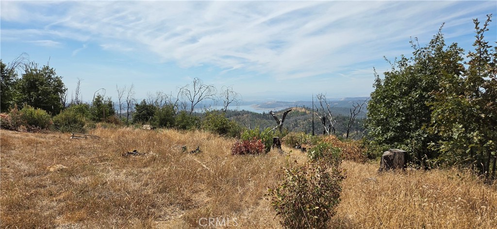 274 Webster, Berry Creek, CA 95916 — photo 1