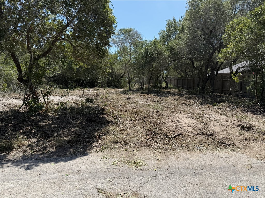 Lot 2 S 12th St, Aransas Pass, TX 78336 — photo 1