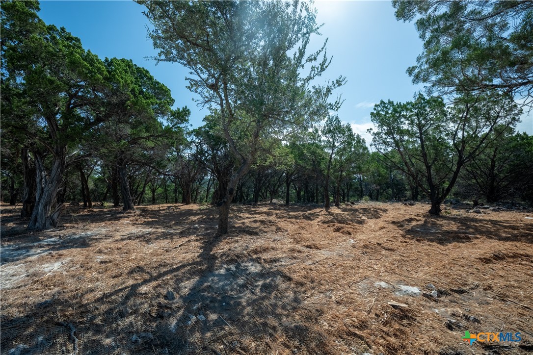 00 Mountain Top, Jonestown, TX 78645 — photo 1