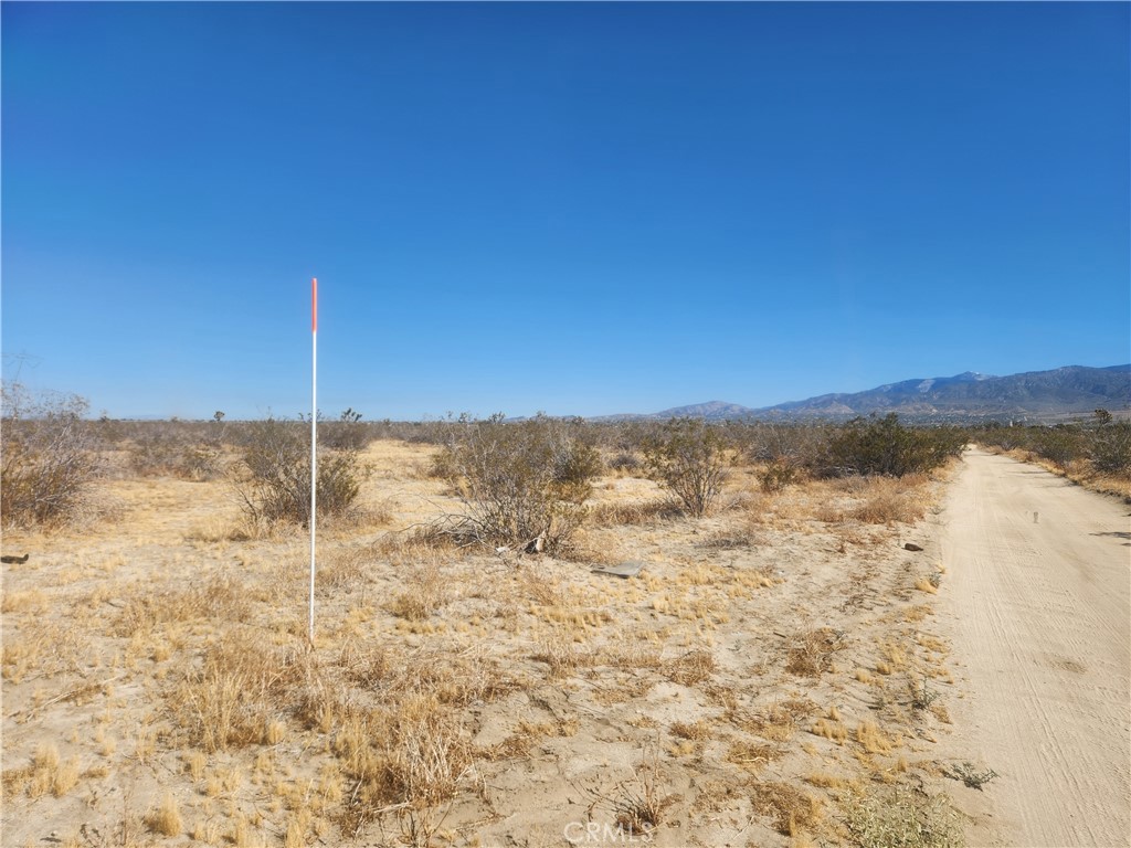 40 AC Pomona Road, Pinon Hills, CA 92372 — photo 1