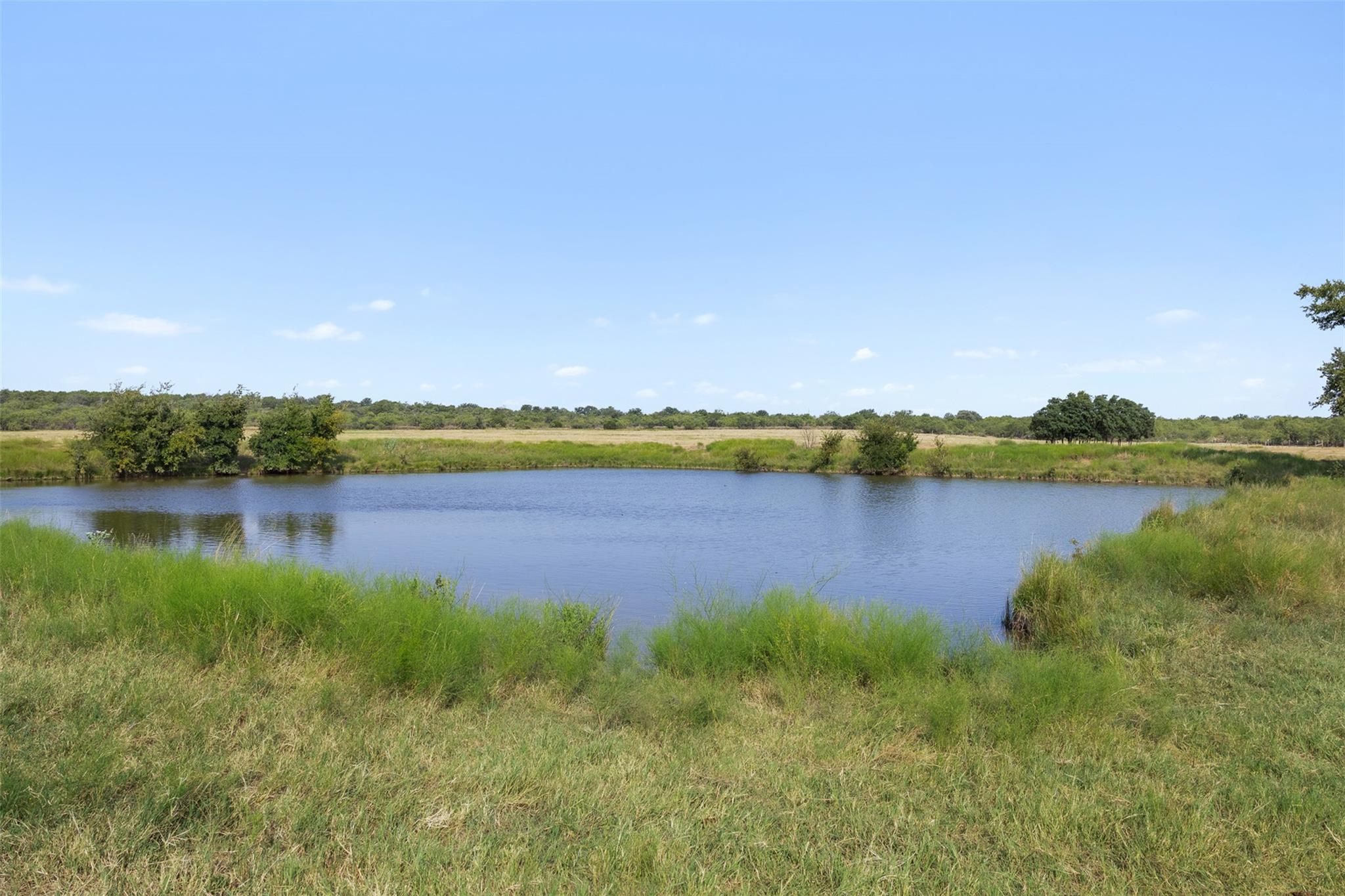 TBD FM 1176 S, Santa Anna, TX 76878 — photo 1