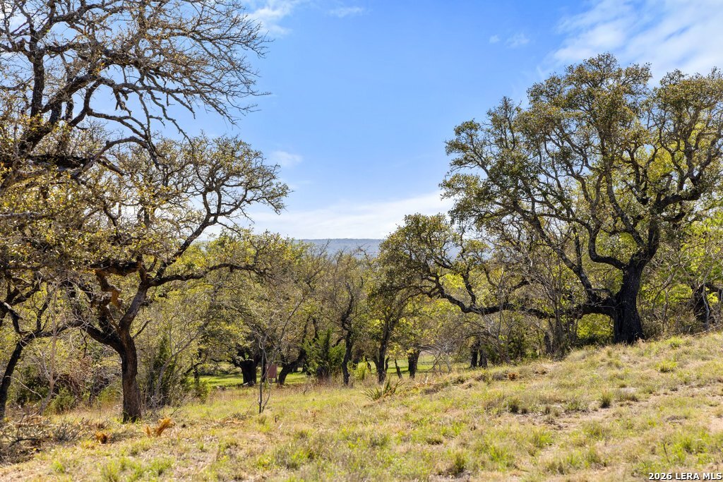 19 STONE RIDGE MOUNTAIN DR, Round Mountain, TX 78663 — photo 1