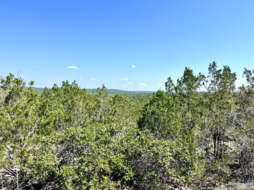 900 Alonzo RD, Harper, TX 78631 — photo 1