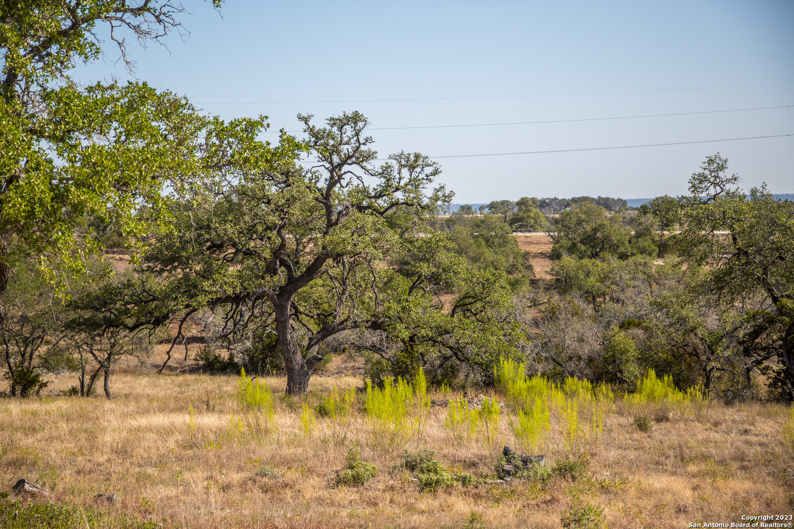 LOT 52 Leo Ct, ,  78028 — photo 1