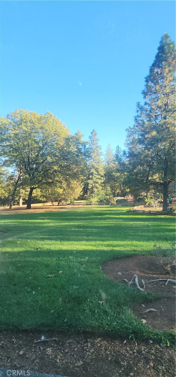 14900 Woodland Park, Forest Ranch, CA 95942 — photo 1