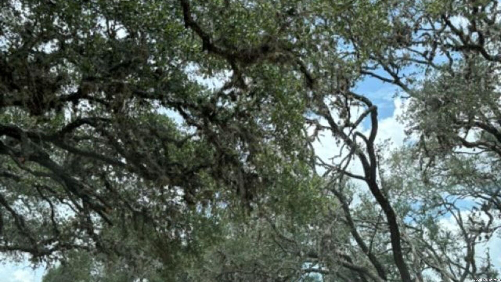 LOT 43 Pr 2535, Mico, TX 78056 — photo 1