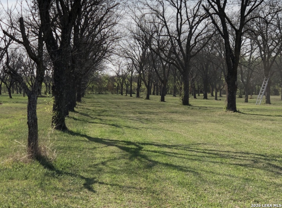 TBD May Road, ,  78877 — photo 1