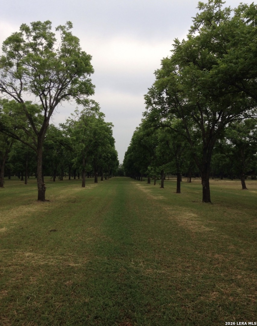 TBD May Road, Quemado, TX 78877 — photo 1