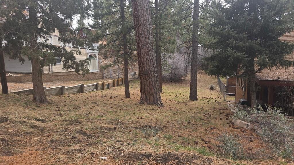 0 Conifer Conifer, Big Bear, CA 92315 — photo 1
