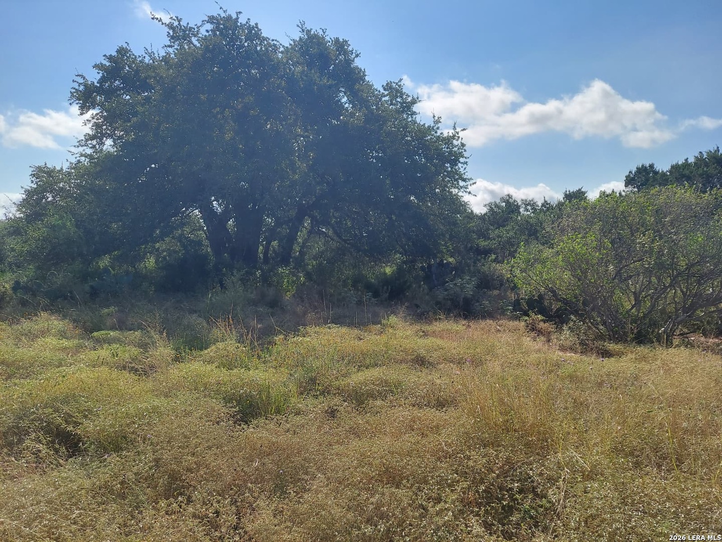 122 Passade, New Braunfels, TX 78132 — photo 1