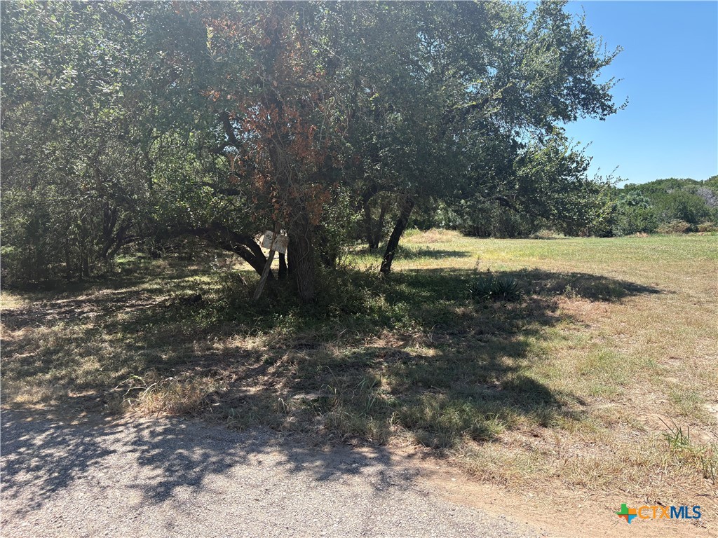TBD Indian Bluff, Temple, TX 76502 — photo 1