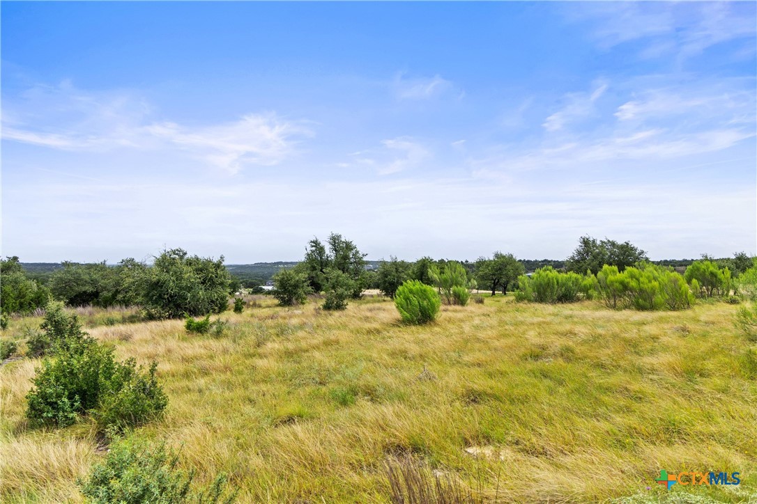 195 Lilly Belle, Johnson City, TX 78636 — photo 1