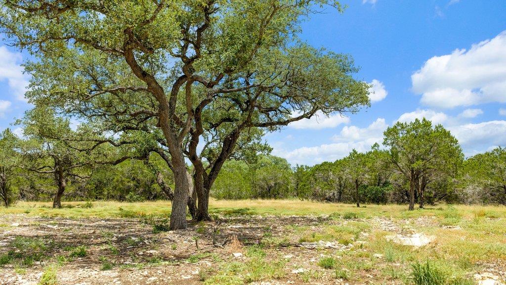 Tract 8 Cypress Cove, Spring Branch, TX 78070 — photo 1