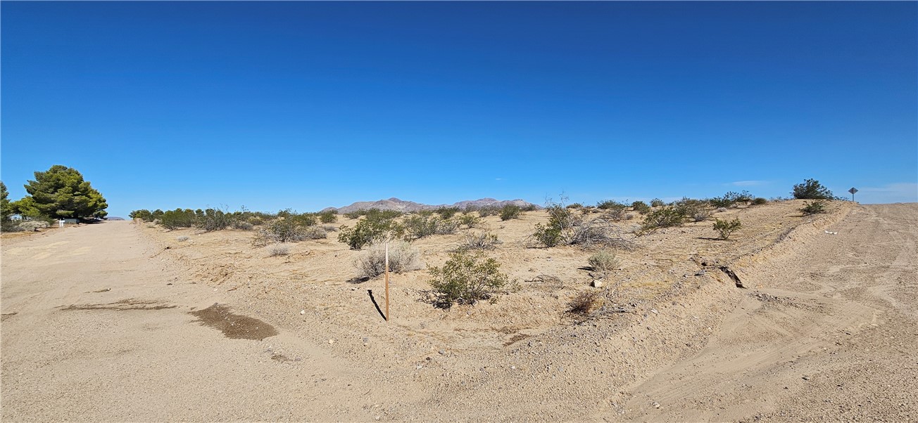 800 Mandrill St., Newberry Springs, CA 92365 — photo 1