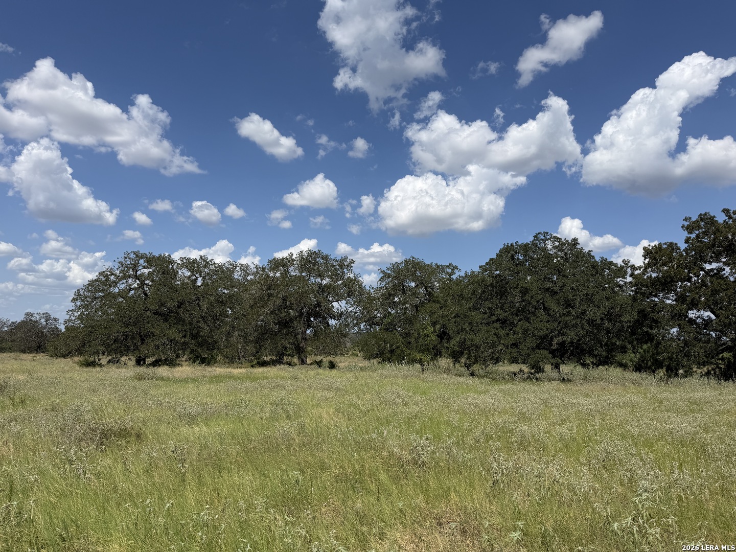 3432 FM 3432, , 78101 — photo 1