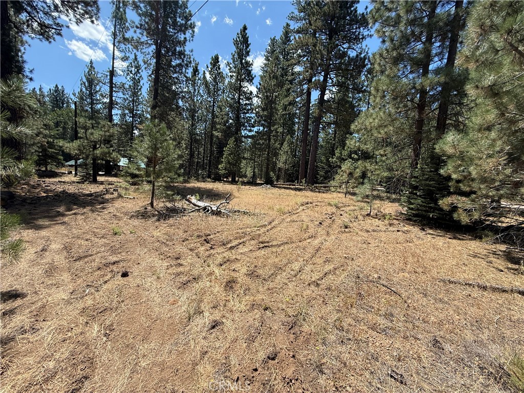 0 Sugar Loaf Lane, Old Station, CA 96071 — photo 1
